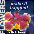 Buy Flowers Online