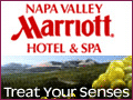Treat your Senses